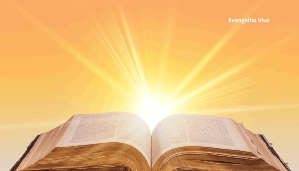 evangelho vivo (2)